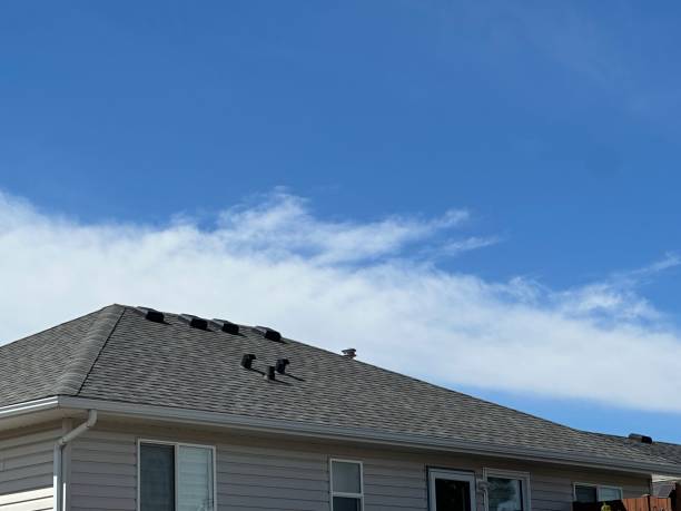 Best Roof Installation  in Winsted, MN